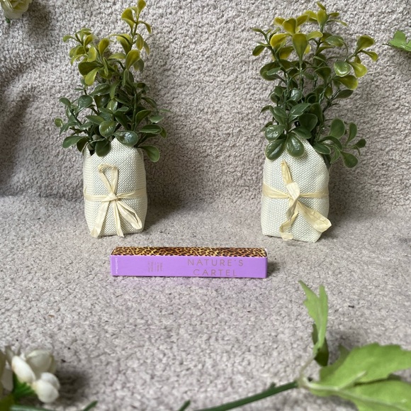 💎 Nature’s Cartel Lip Gloss - Picture 1 of 5